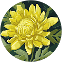 Ana Keller profile picture